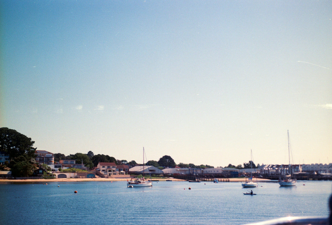 Coastal Grandma Amazon Home Decor Finds